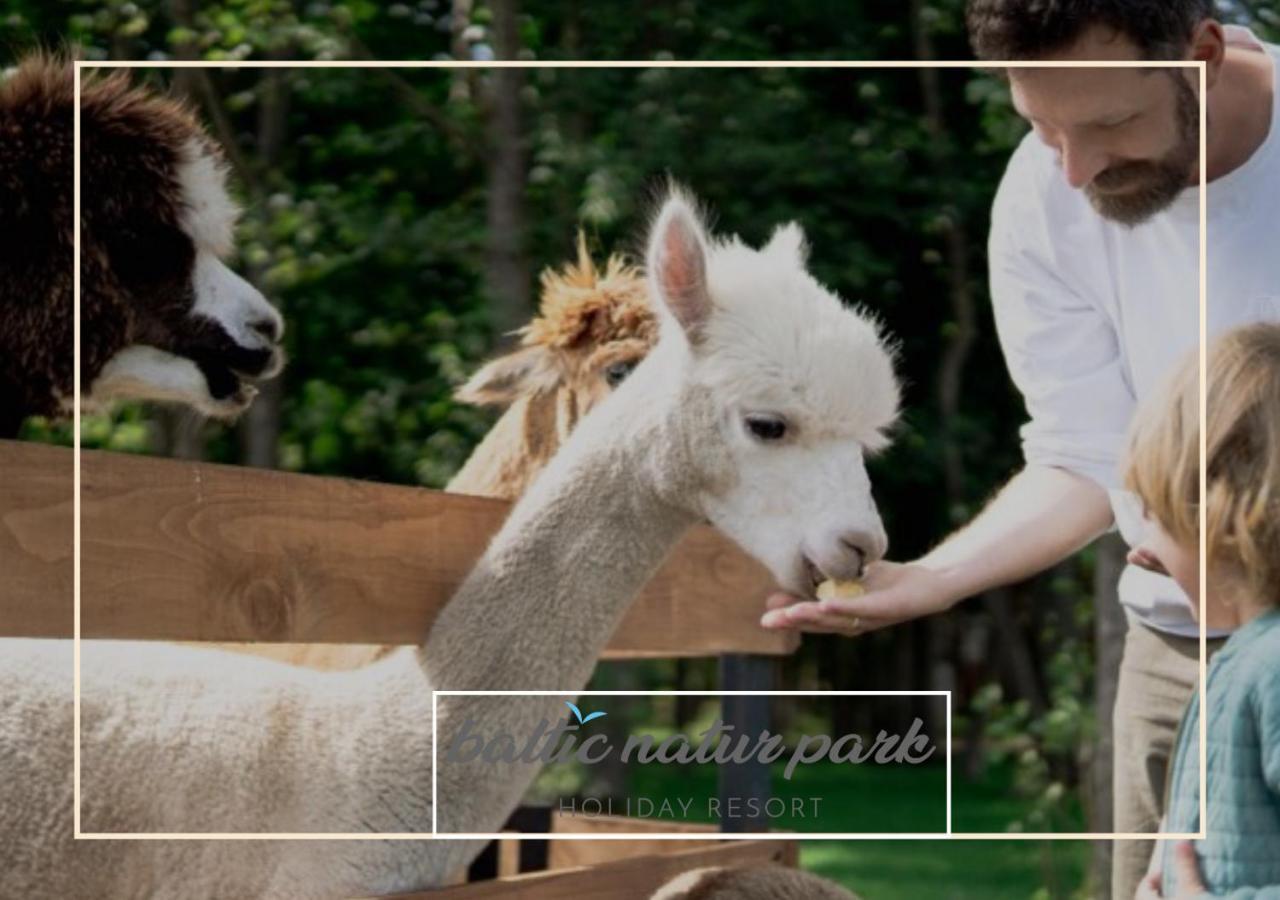 Baltic Natur Park - Holiday Resort Niechorze Luaran gambar